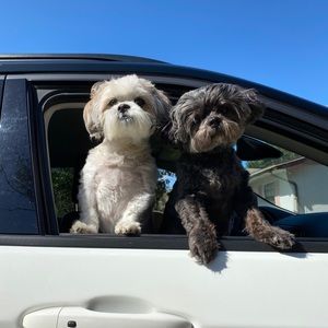 Meet your Posher, Olivia